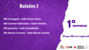 Boletim 1 da Primeira Semana de Execução da Etapa Microrregional já está disponível.