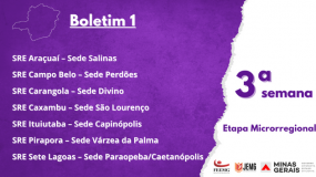Boletim 1 da Terceira Semana de Execução da Etapa Microrregional já está disponível.