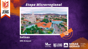 Salinas é sede da microrregional. Conheça esse município.