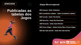 Publicadas as tabelas de jogos e a programação do xadrez das SREs de Araçuaí, Conselheiro Lafaiete, Curvelo, Nova Era, Pouso Alegre, Paracatu e São João del-Rei.